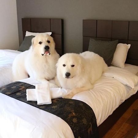 Miyajima Shiro Hotel Hatsukaichi Buitenkant foto