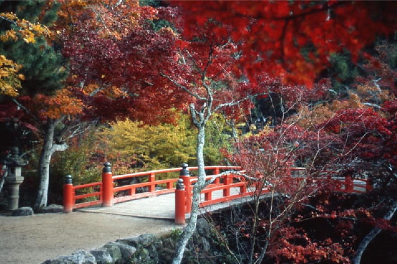 Miyajima Shiro Hotel Hatsukaichi Buitenkant foto
