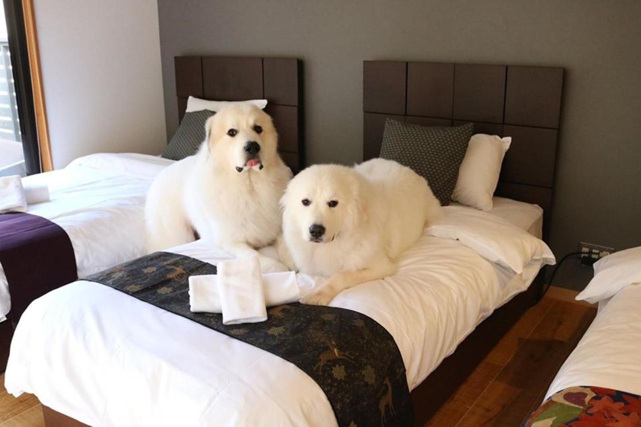 Miyajima Shiro Hotel Hatsukaichi Buitenkant foto